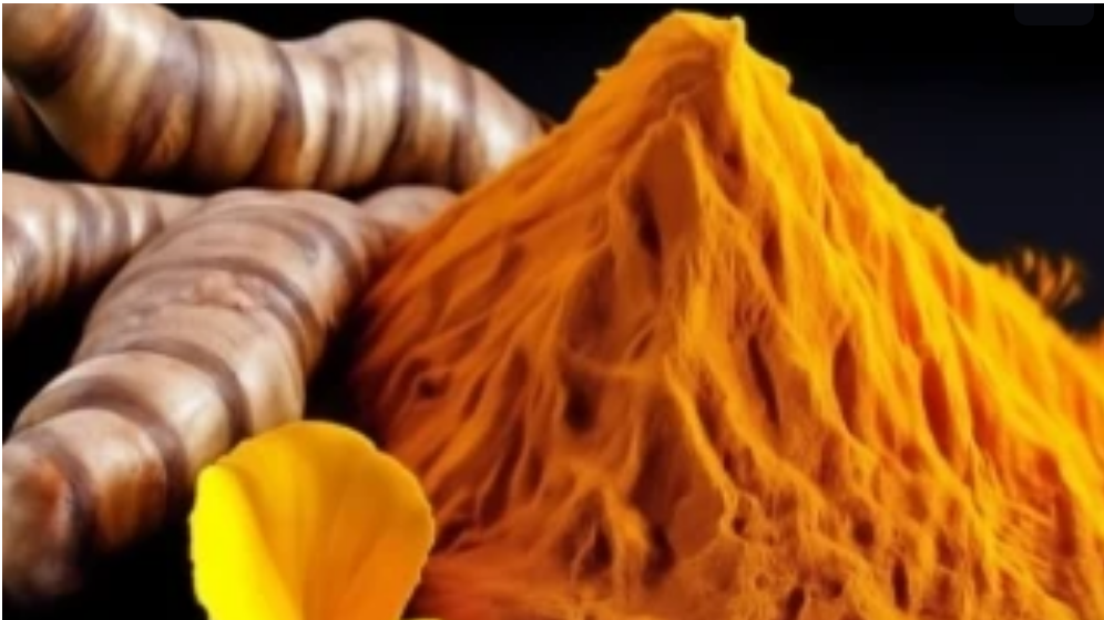 Curcumin Cancer Herbalist Bangalore