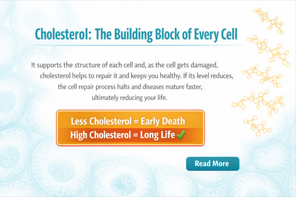 why cholestrol is required