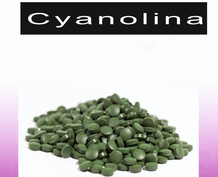 screenshot 2 4 2026 193523