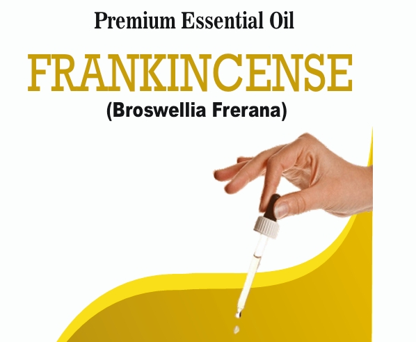 screenshot 2 4 2026 19364