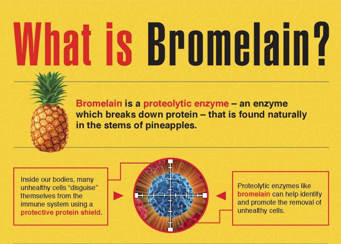 whatsapp image 2026 03 27 at 4.36.27 pm