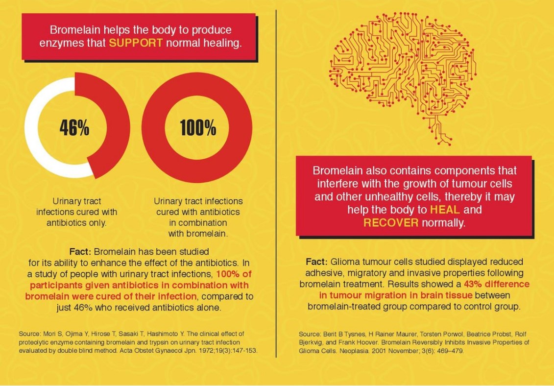 whatsapp image 2026 03 27 at 4.36.27 pm 2nd