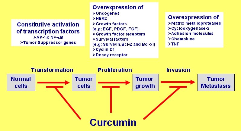 whatsapp image 2026 03 28 at 2.24.56 pm